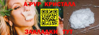 бошки Тверь