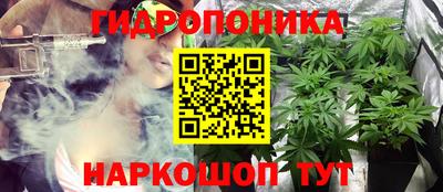 apvp Тара