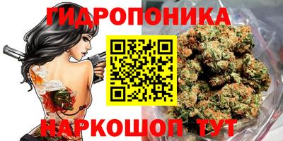 apvp Тулун