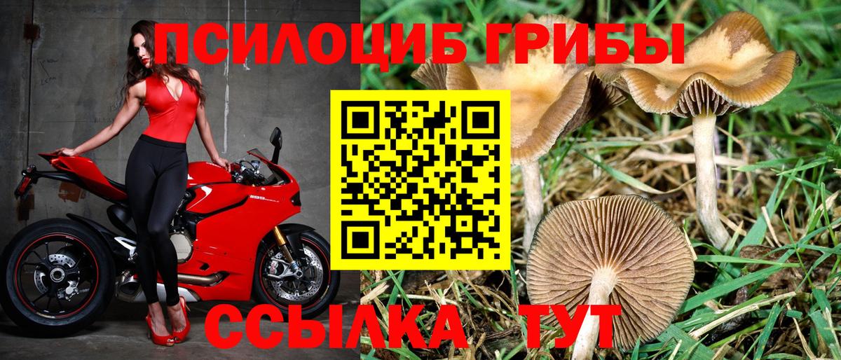 Псилоцибиновые грибы ЛСД Сибай