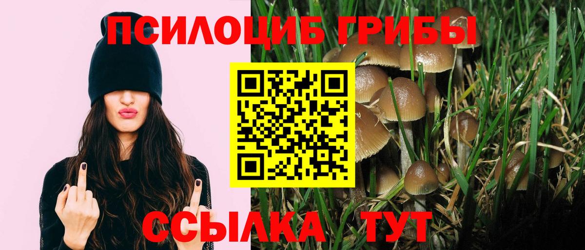 Псилоцибиновые грибы ЛСД  Вход с VPN  Галлюциногенные грибы MAGIC MUSHROOMS  Сибай 